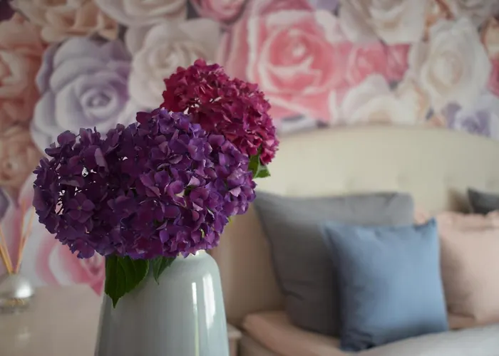 Apartment Rose Sasbachwalden